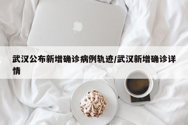 武汉公布新增确诊病例轨迹/武汉新增确诊详情