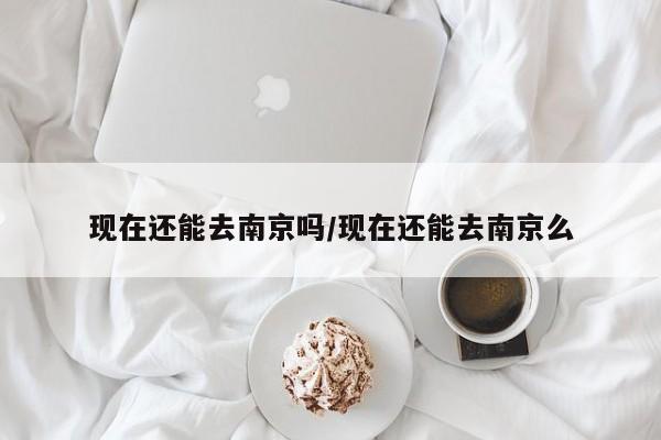 现在还能去南京吗/现在还能去南京么