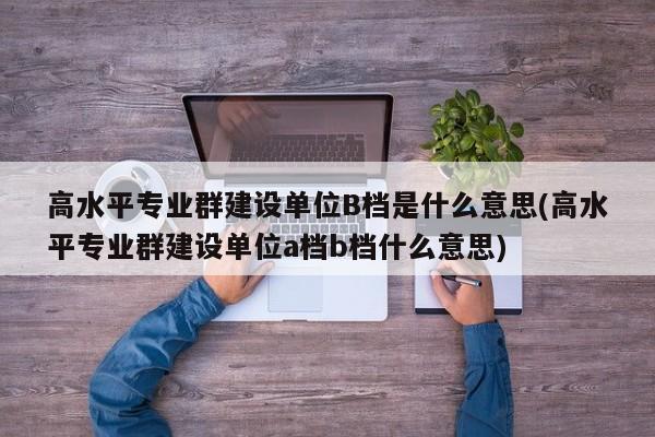 高水平专业群建设单位B档是什么意思(高水平专业群建设单位a档b档什么意思)