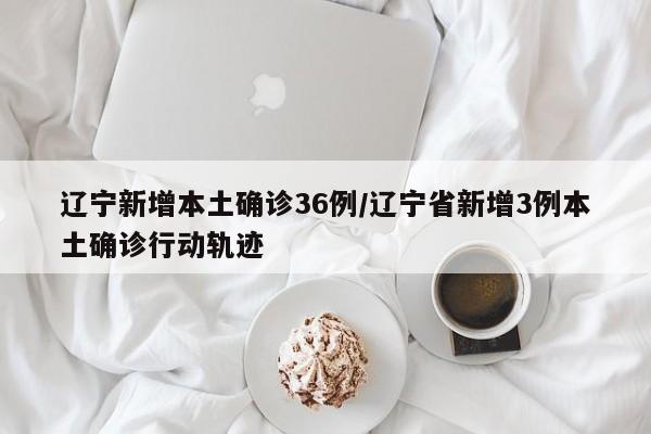 辽宁新增本土确诊36例/辽宁省新增3例本土确诊行动轨迹