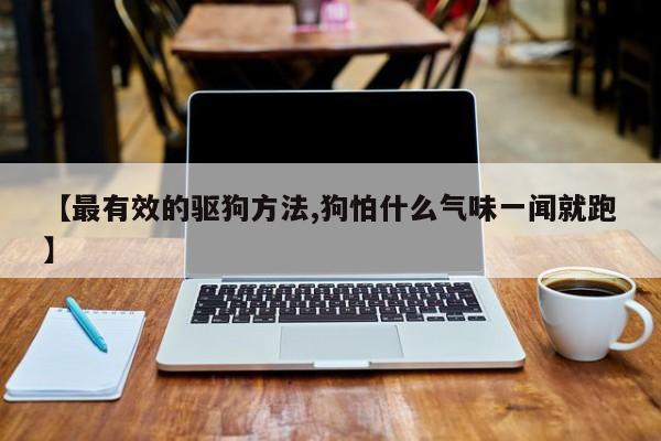【最有效的驱狗方法,狗怕什么气味一闻就跑】