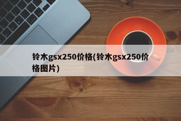 铃木gsx250价格(铃木gsx250价格图片)