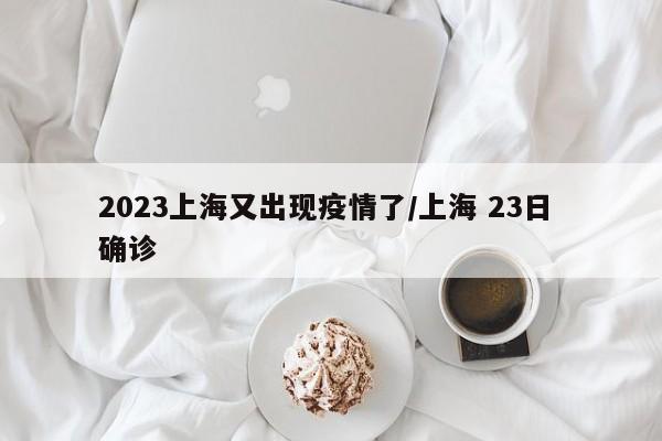 2023上海又出现疫情了/上海 23日 确诊