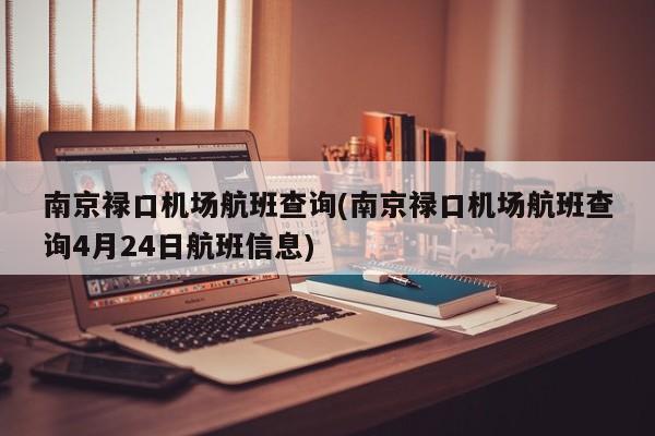 南京禄口机场航班查询(南京禄口机场航班查询4月24日航班信息)