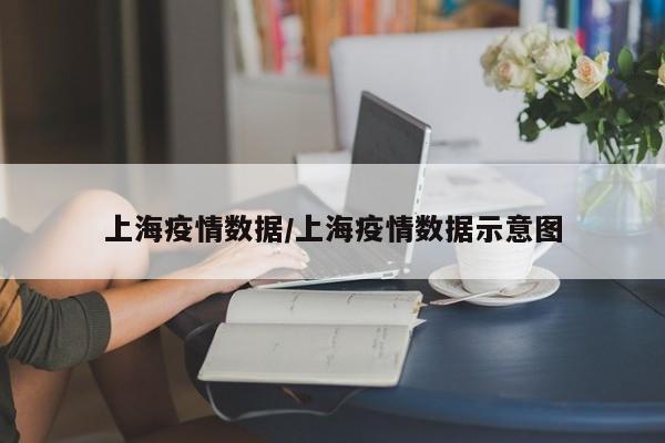 上海疫情数据/上海疫情数据示意图