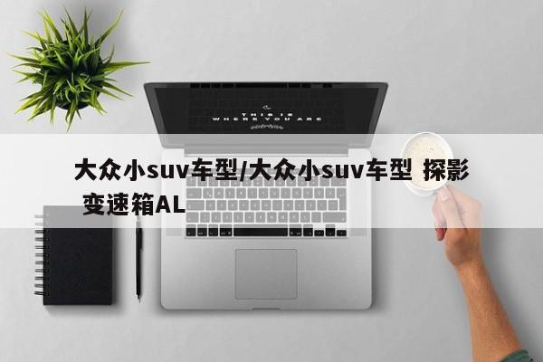 大众小suv车型/大众小suv车型 探影 变速箱AL