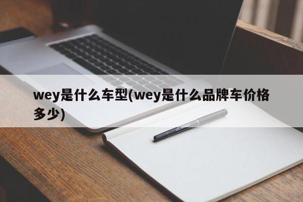 wey是什么车型(wey是什么品牌车价格多少)