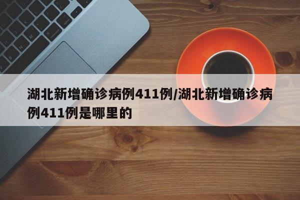 湖北新增确诊病例411例/湖北新增确诊病例411例是哪里的