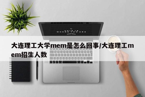 大连理工大学mem是怎么回事/大连理工mem招生人数