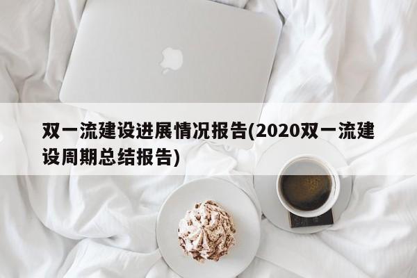 双一流建设进展情况报告(2020双一流建设周期总结报告)